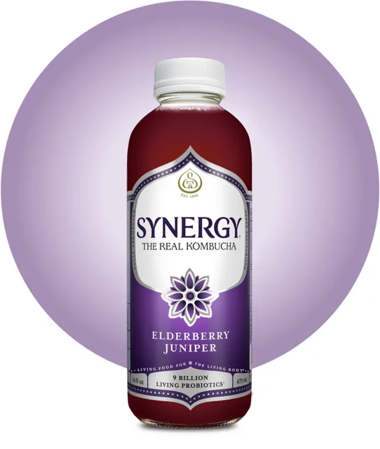 GT’s Living Foods Elderberry Juniper