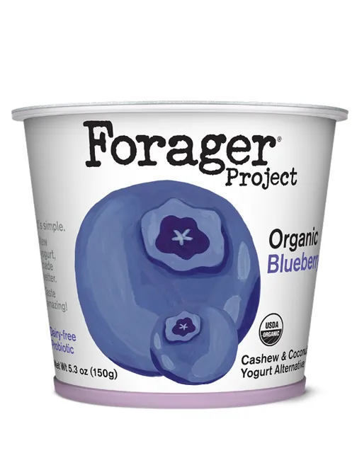 Forager Project Blueberry Cashew & Coconut Yogurt