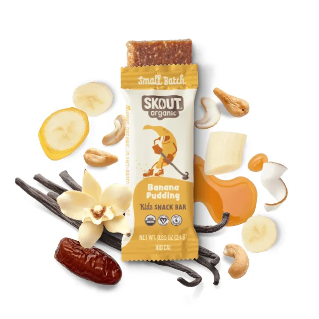 Skout Organic Banana Pudding Kids Bar