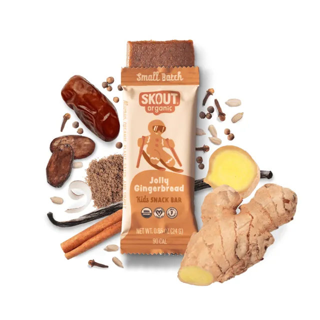 Skout Organic Jolly Gingerbread Kids Bar