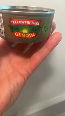Genova Yellowfin Tuna